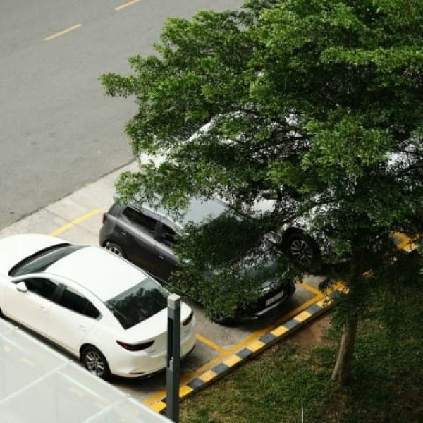 duc-van-ZZoduR7eWXs-unsplash (Small)